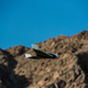Image for article titled This is what it looks like to crash a brand new $1,300 plane-like drone